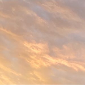 Meet your Posher, Devin